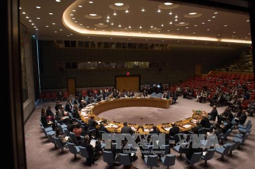 联合国呼吁采取行动  结束叙利亚冲突 - ảnh 1
